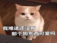 海南华榆思贸易有限公司