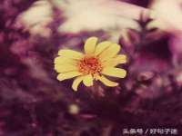 海南华榆思贸易有限公司