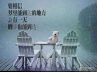 海南华榆思贸易有限公司
