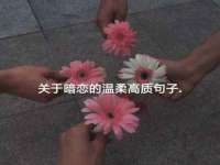 海南华榆思贸易有限公司