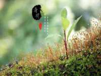 海南华榆思贸易有限公司