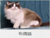 海南华榆思贸易有限公司