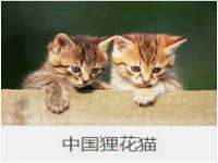 海南华榆思贸易有限公司