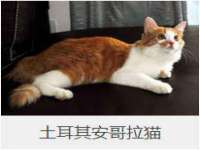 海南华榆思贸易有限公司