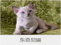 海南华榆思贸易有限公司
