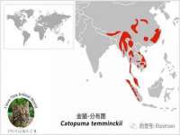 海南华榆思贸易有限公司