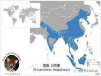 海南华榆思贸易有限公司