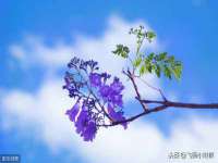 海南华榆思贸易有限公司
