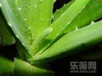 海南华榆思贸易有限公司