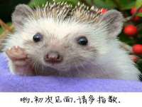 海南华榆思贸易有限公司