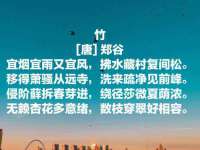 海南华榆思贸易有限公司