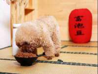 海南华榆思贸易有限公司