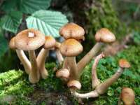 海南华榆思贸易有限公司